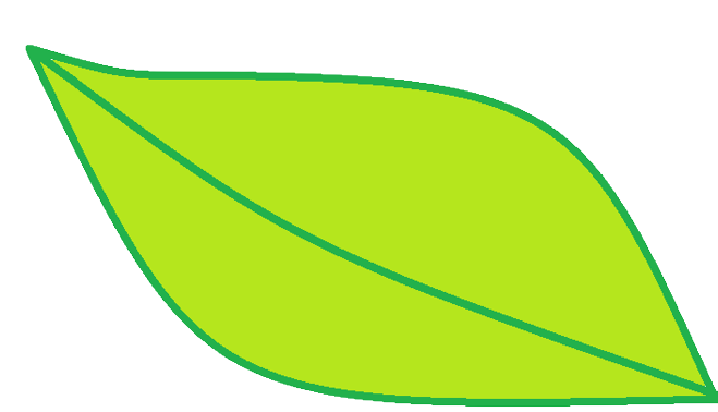 Bo leaf