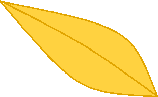 Golden bo leaf